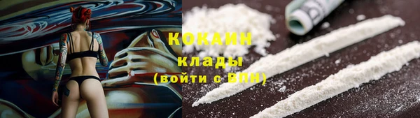 шишки Арсеньев
