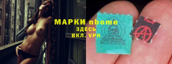 шишки Арсеньев