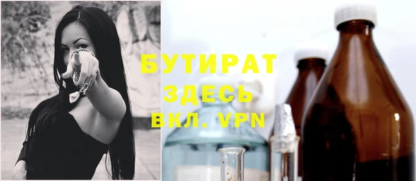 шишки Арсеньев