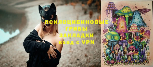 шишки Арсеньев