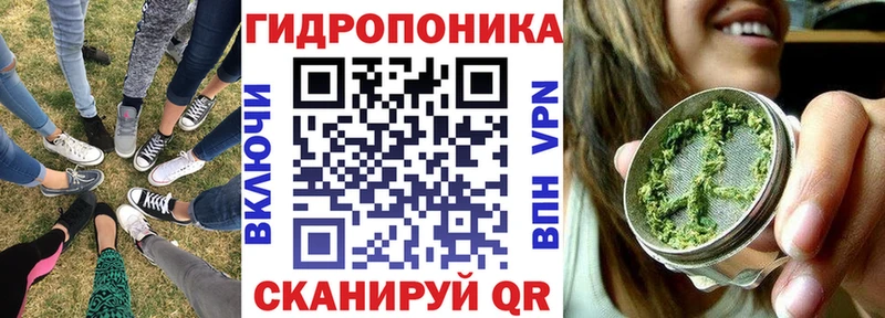 Бошки Шишки THC 21% Сальск